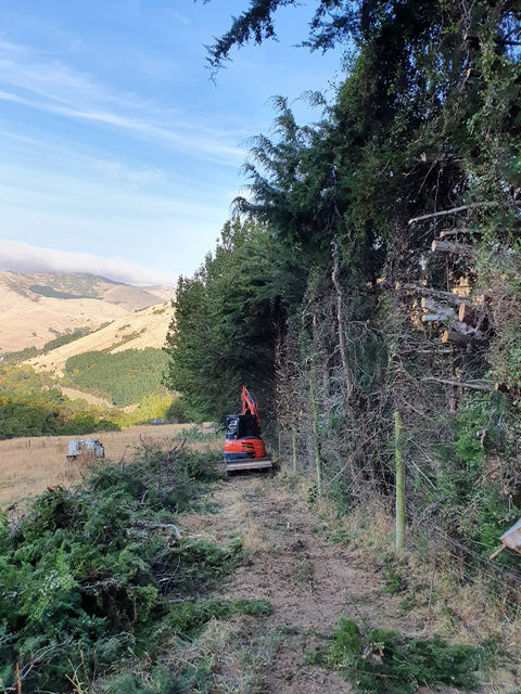hedge trimming with digger hedge cutter