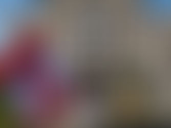 Study in Canada: One of the most Innovative Education Systems in the World