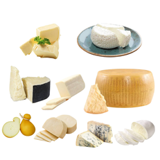 Import & Local Cheeses and Dairy Product