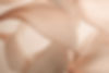 c74ea1cb5ba52dfa1ddde3c19bbef51b_edited.jpg