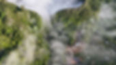 DJI_20260508081942_0386_D.JPG