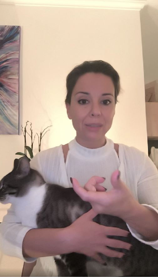 TEMPESTADES ELETROMAGNÉTICAS E A ALQUIMIA DO ÚTERO