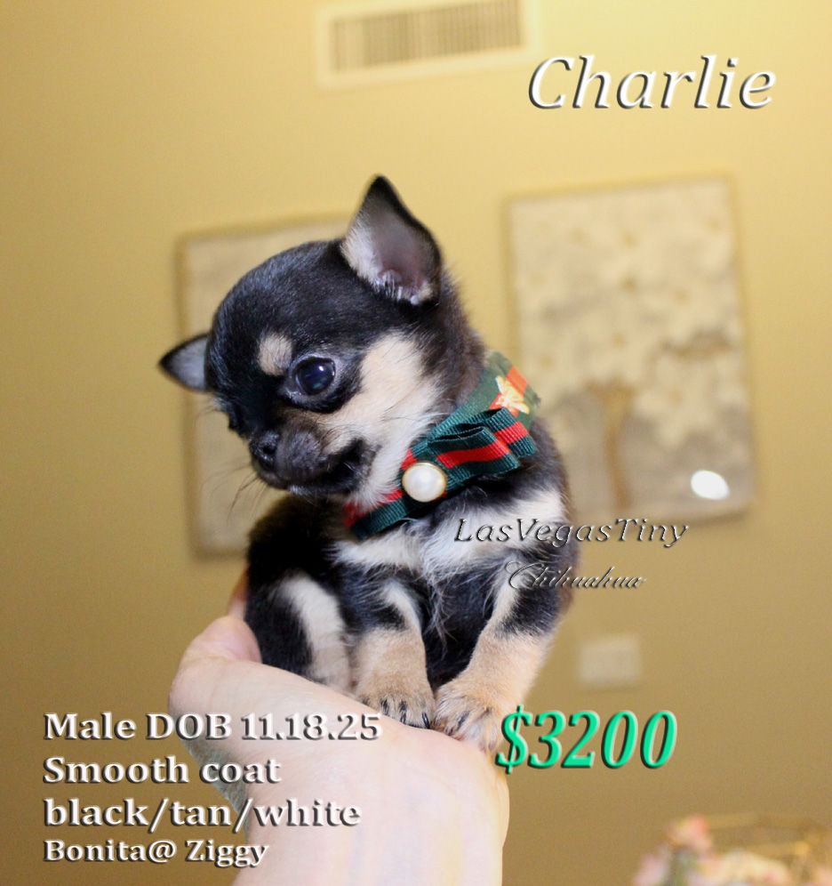 Charlie deposit received