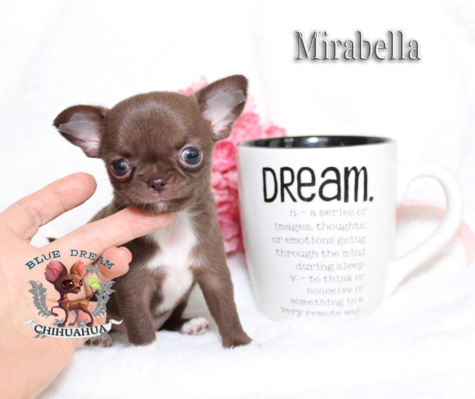 Mirabella