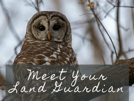 Meet your Land Guardian