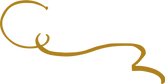 Asset 3@4x.png