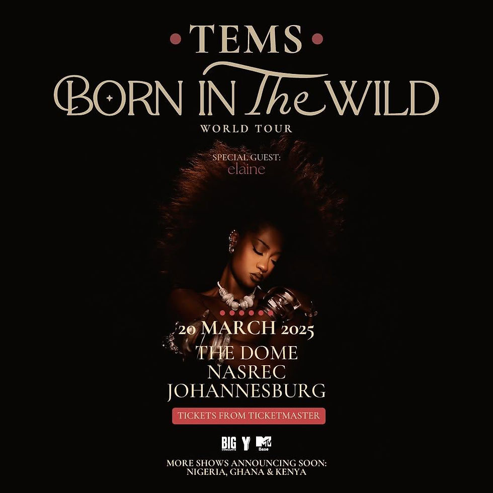 Tems Live in Johannesburg