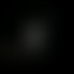 A Night of Love and Legends: My Experience at the Ringo Valentine’s Event