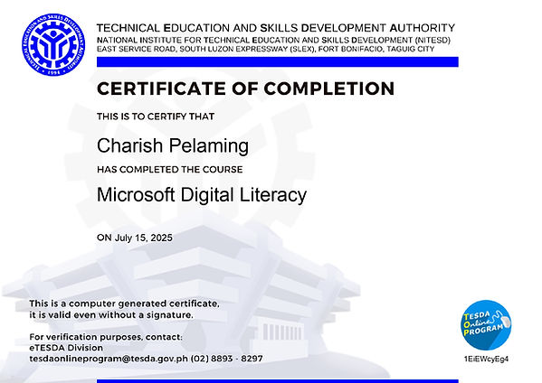 Microsoft Digital Literacy_page-0001.jpg