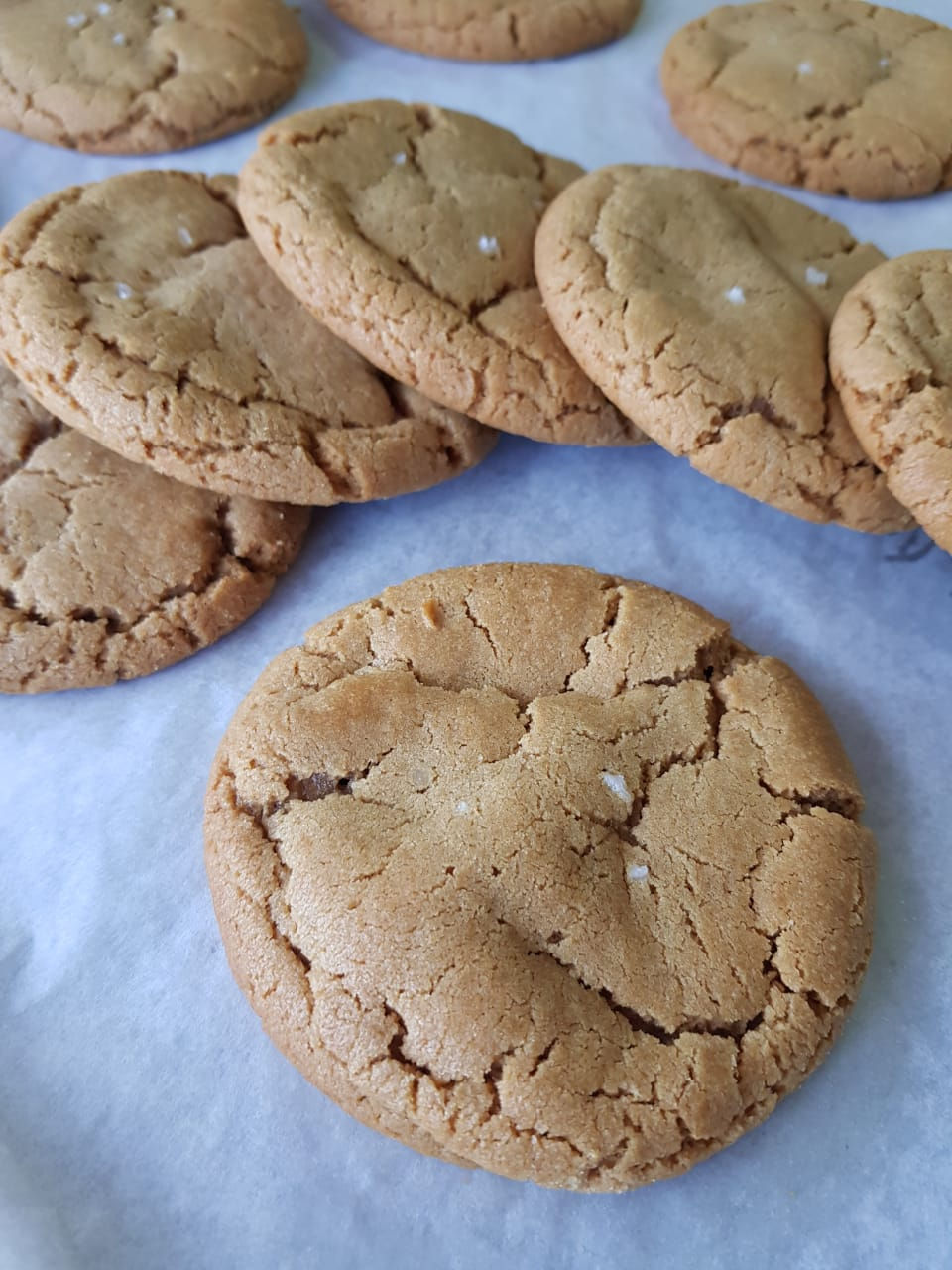 KINAKO COOKIE