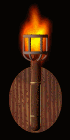 TorchCopAni.gif