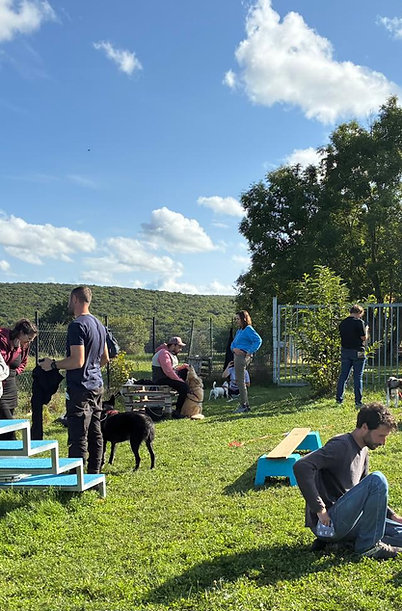 Pack Expert : Le Cursus Complet