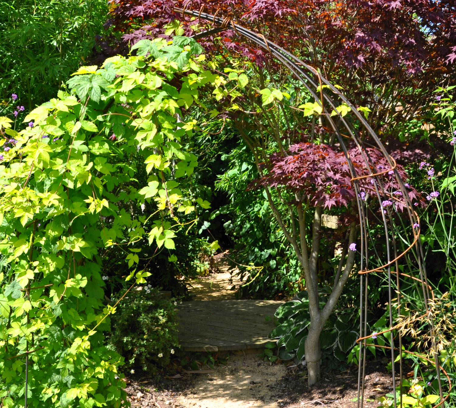 wildlife garden, Marlow