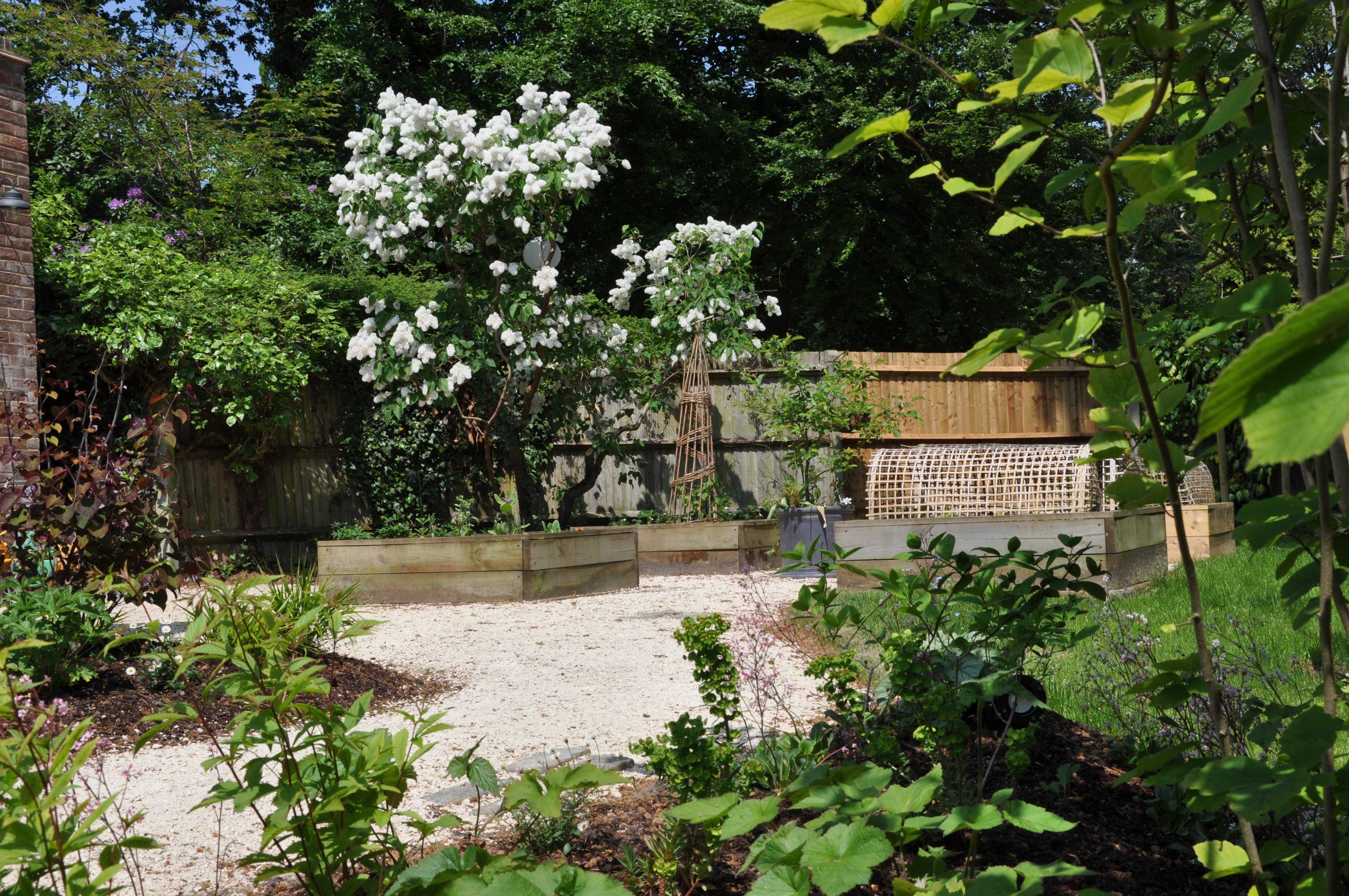 woodland garden, Hazlemere