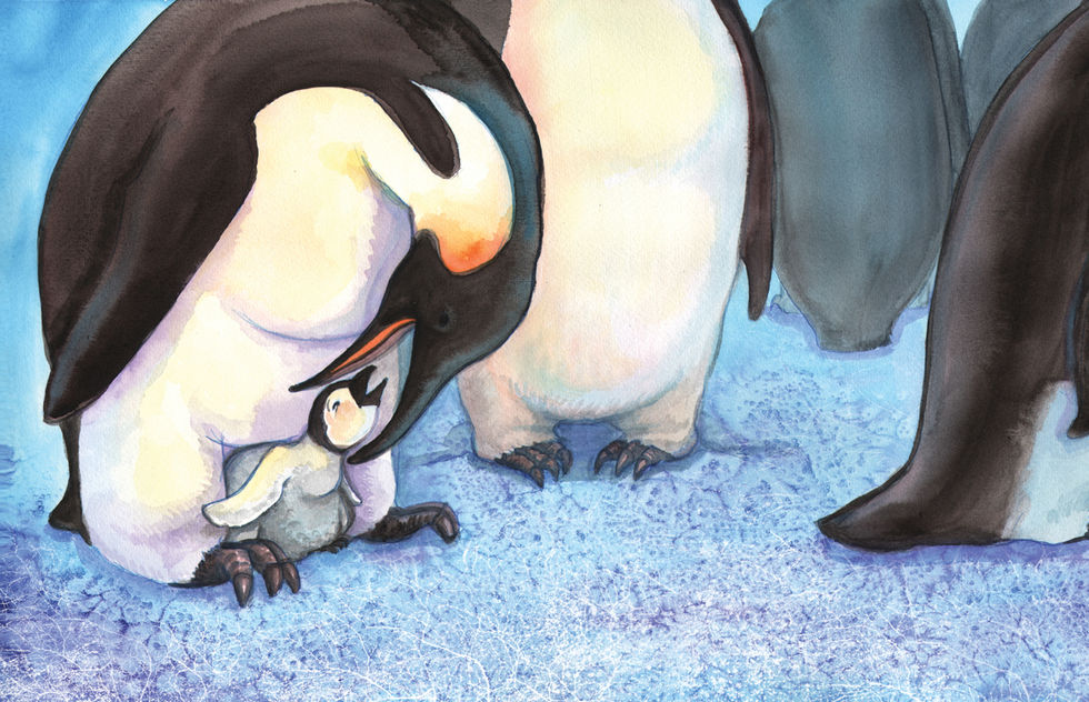 penguin5