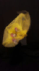 “Under the Sea” Collaboration with Piers Atkinson and Royal Elephant family trust Victoria