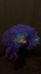 “Under the Sea” Collaboration with Piers Atkinson and Royal Elephant family trust Victoria