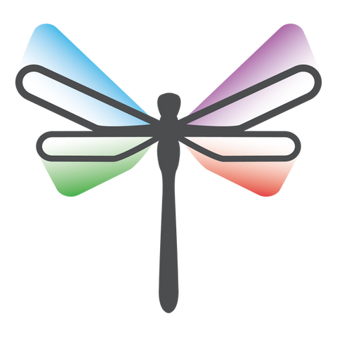BKR_Consulting_DRAGONFLY_4C_Large.png