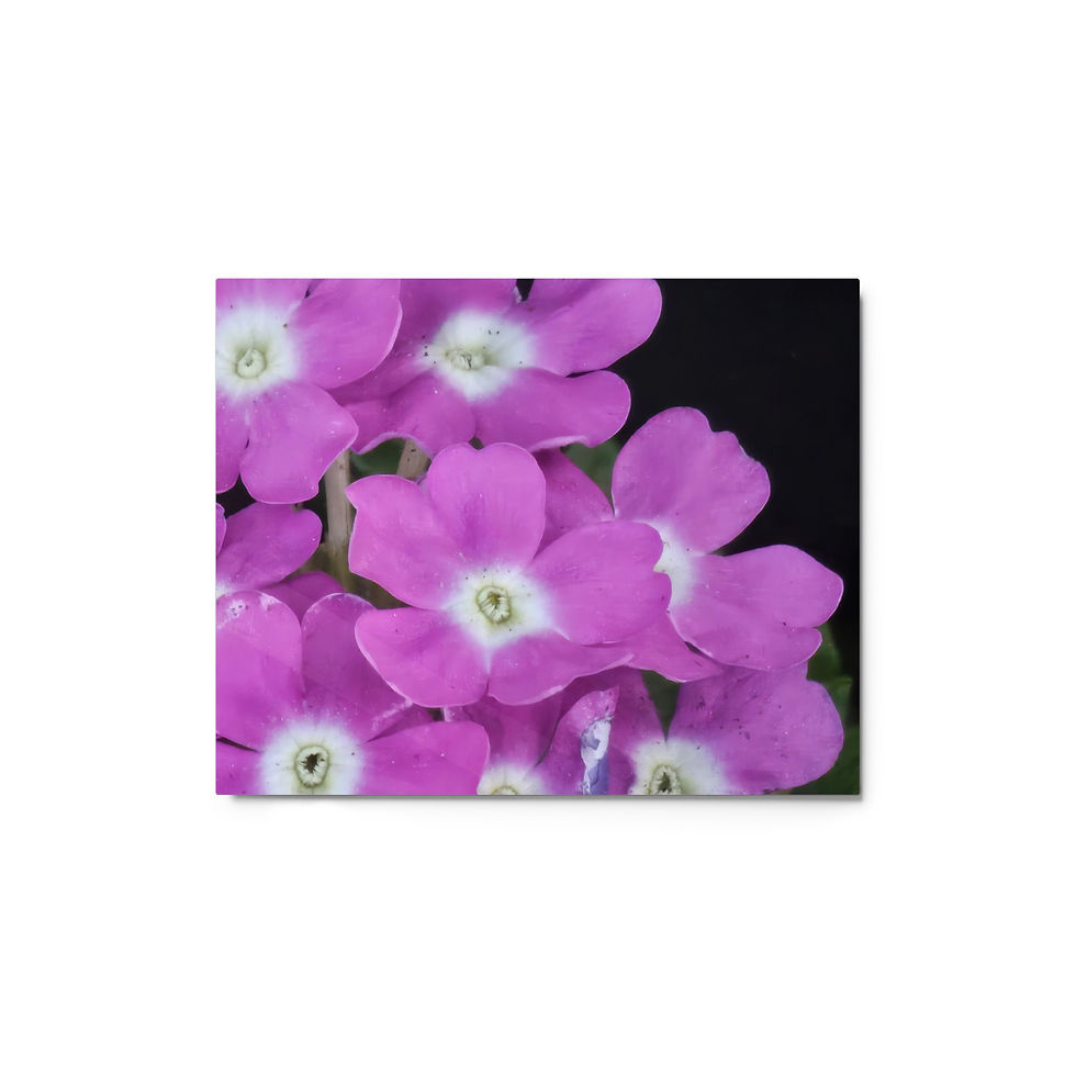 Thumbnail: Soul Sisters Metal Print