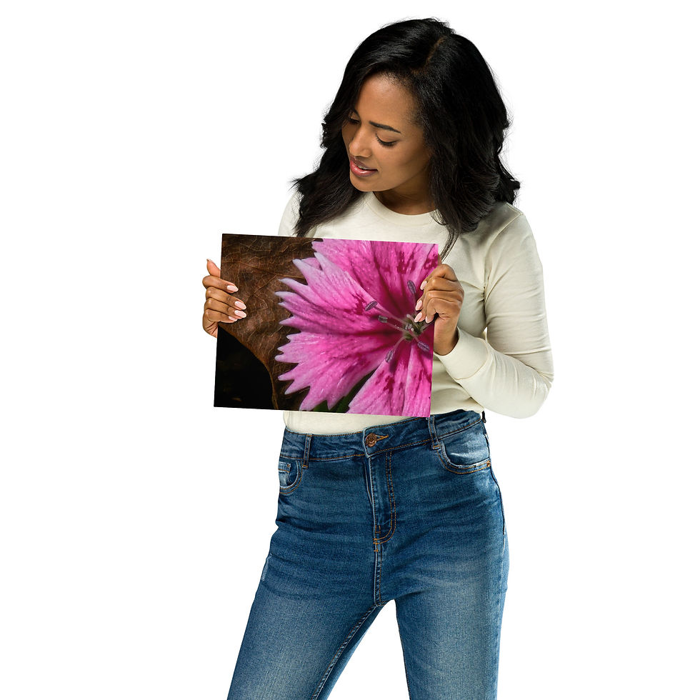 Thumbnail: Pink Petals Metal Print