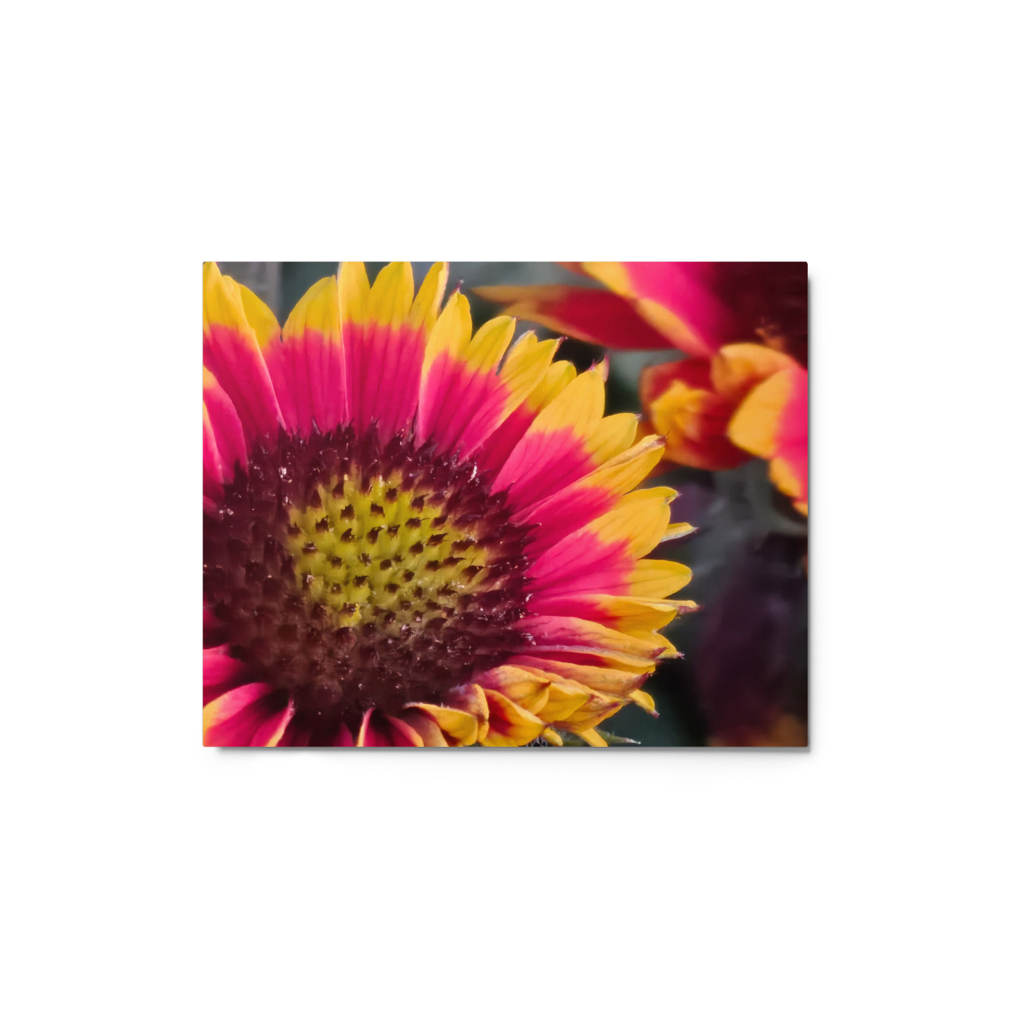 Blaze of Glory Metal Print