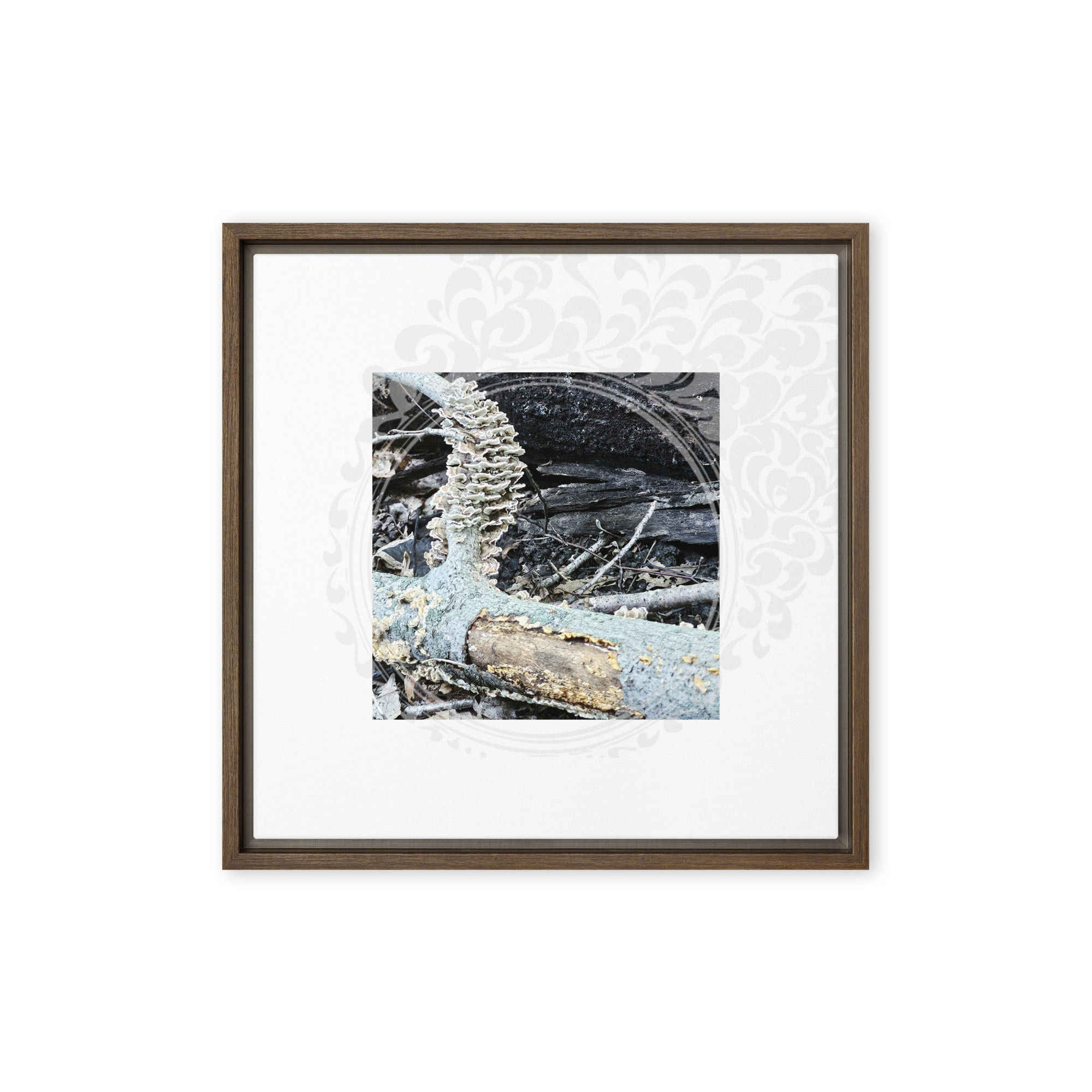 34 20240811_165931 ae2