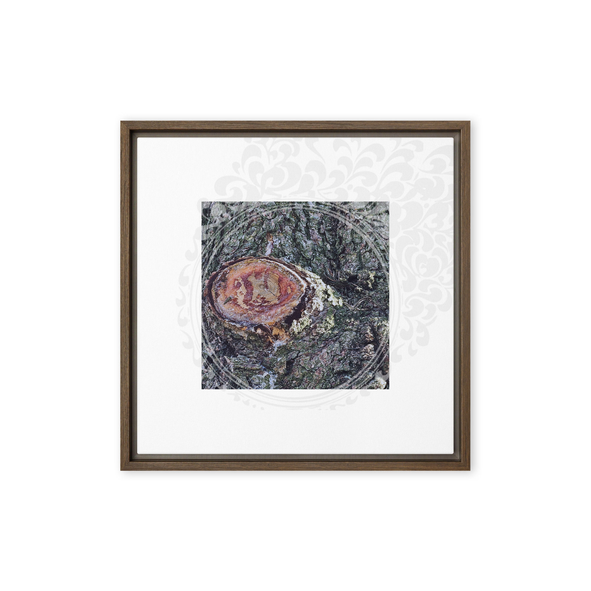 30 20240908_085724 ae1