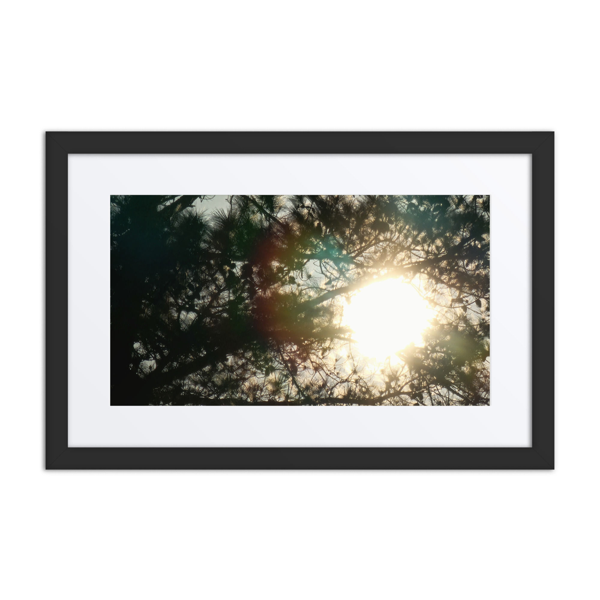 Framed Print