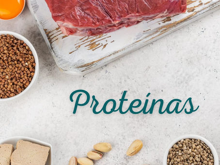 Proteínas: Tudo que você precisa saber sobre elas!