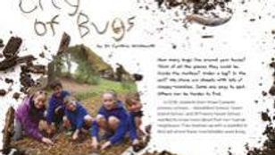 Connected 2020 Level 2: ‘City of Bugs’