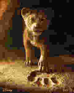 Le roi lion the lion king disney affiche du film