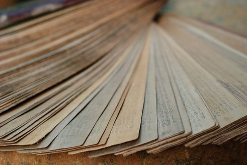 textes de l'ayurveda