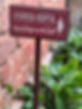 ayurveda kerala