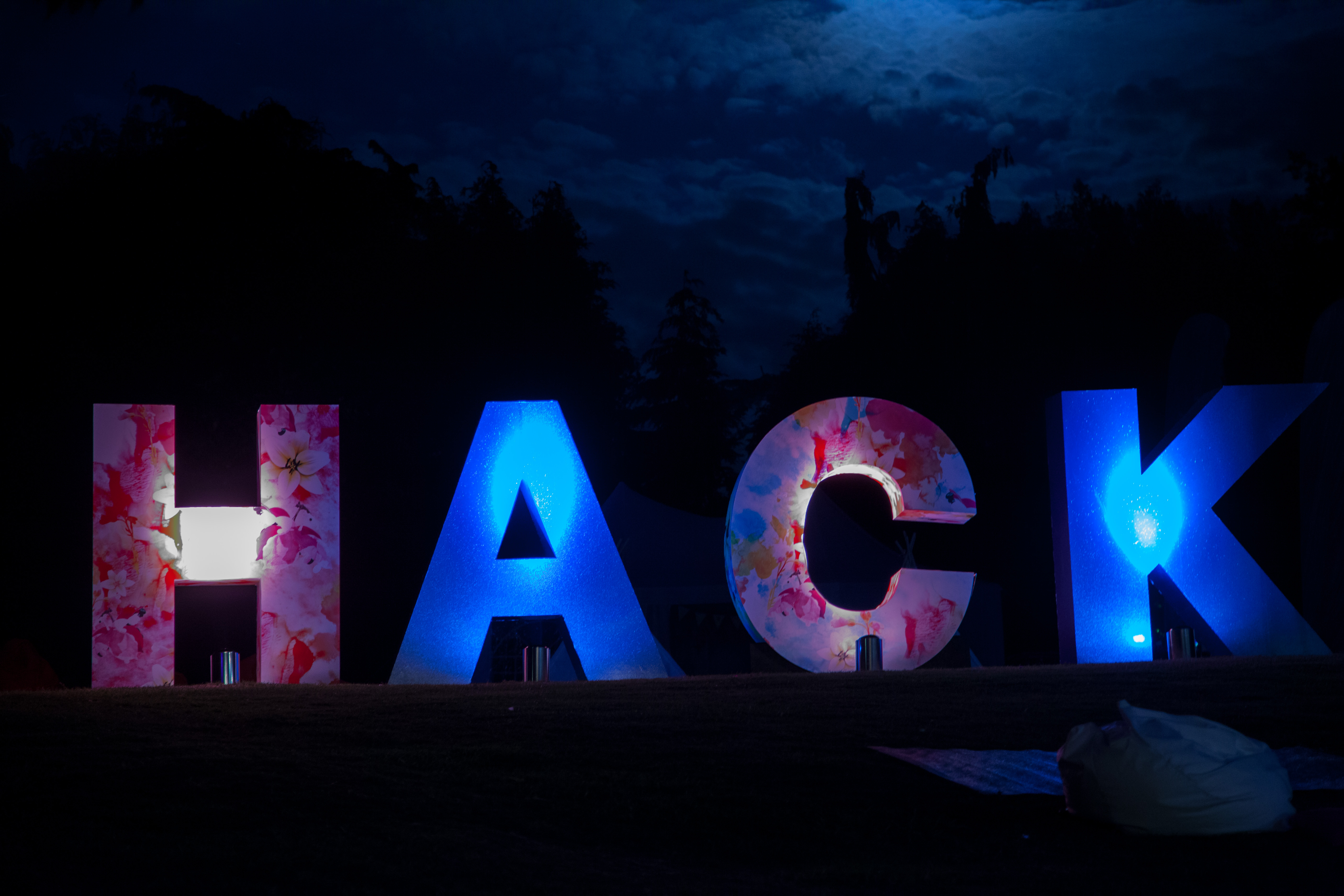 Facebook Summer Party