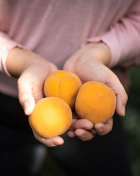 Peaches