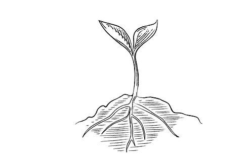 4growth.jpg