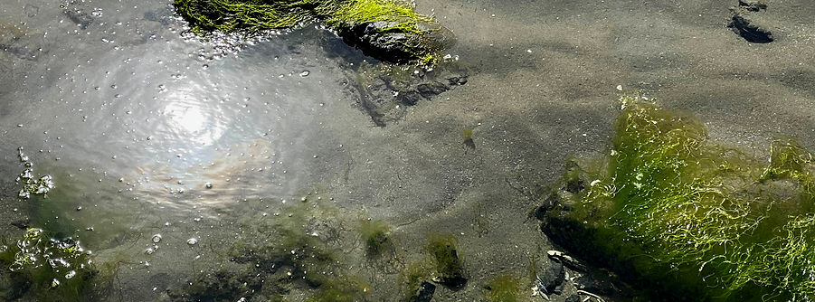 Energy Healing in Focus