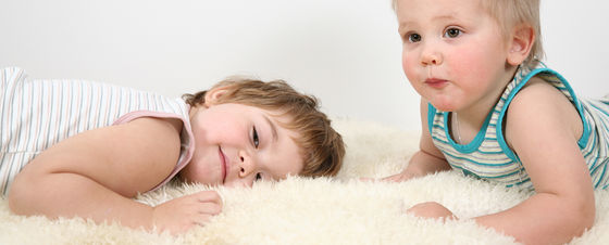 The Need for professional Organic and natural Carpet/ Rug Cleaners