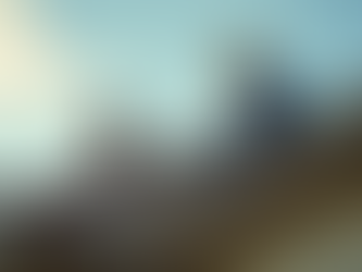 Understanding the Essentials of Home Inspections