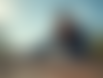 What Home Inspection Service Companies Offer: A Comprehensive Guide