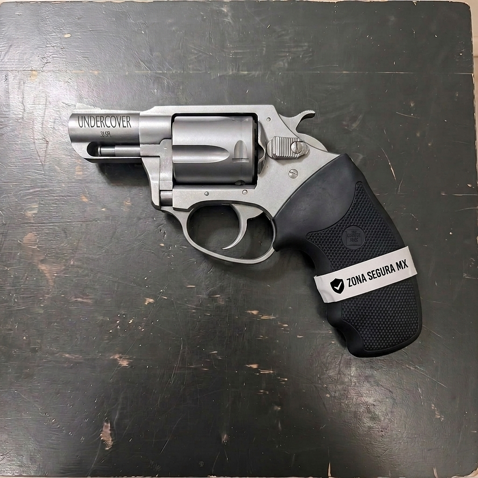 CHARTER ARMS 357