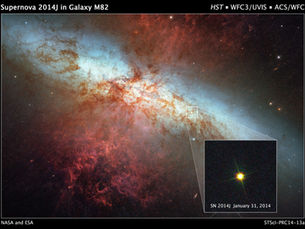 Hunting Supernovae with Smart Telescopes: A New Era for Amateur Astronomers