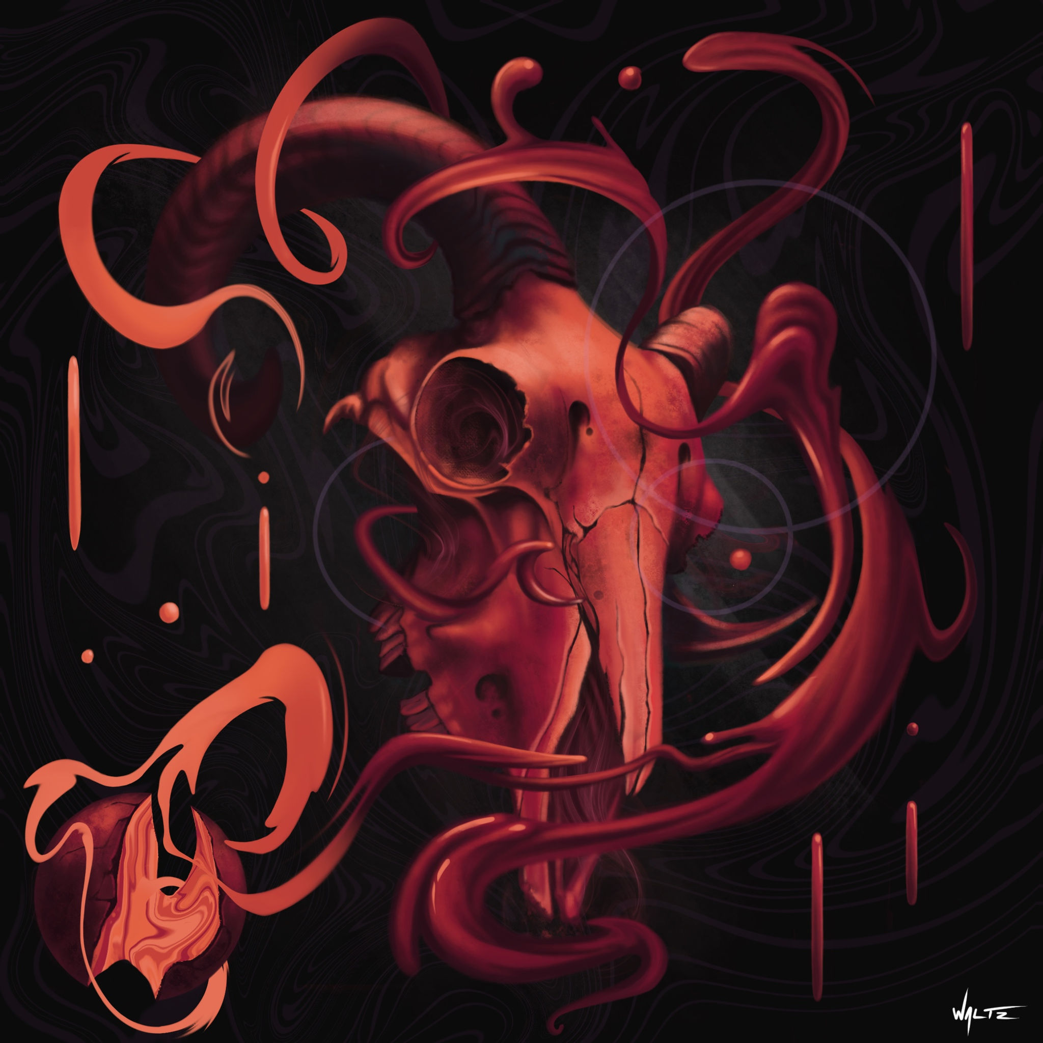 Origin Of The Skull Poster