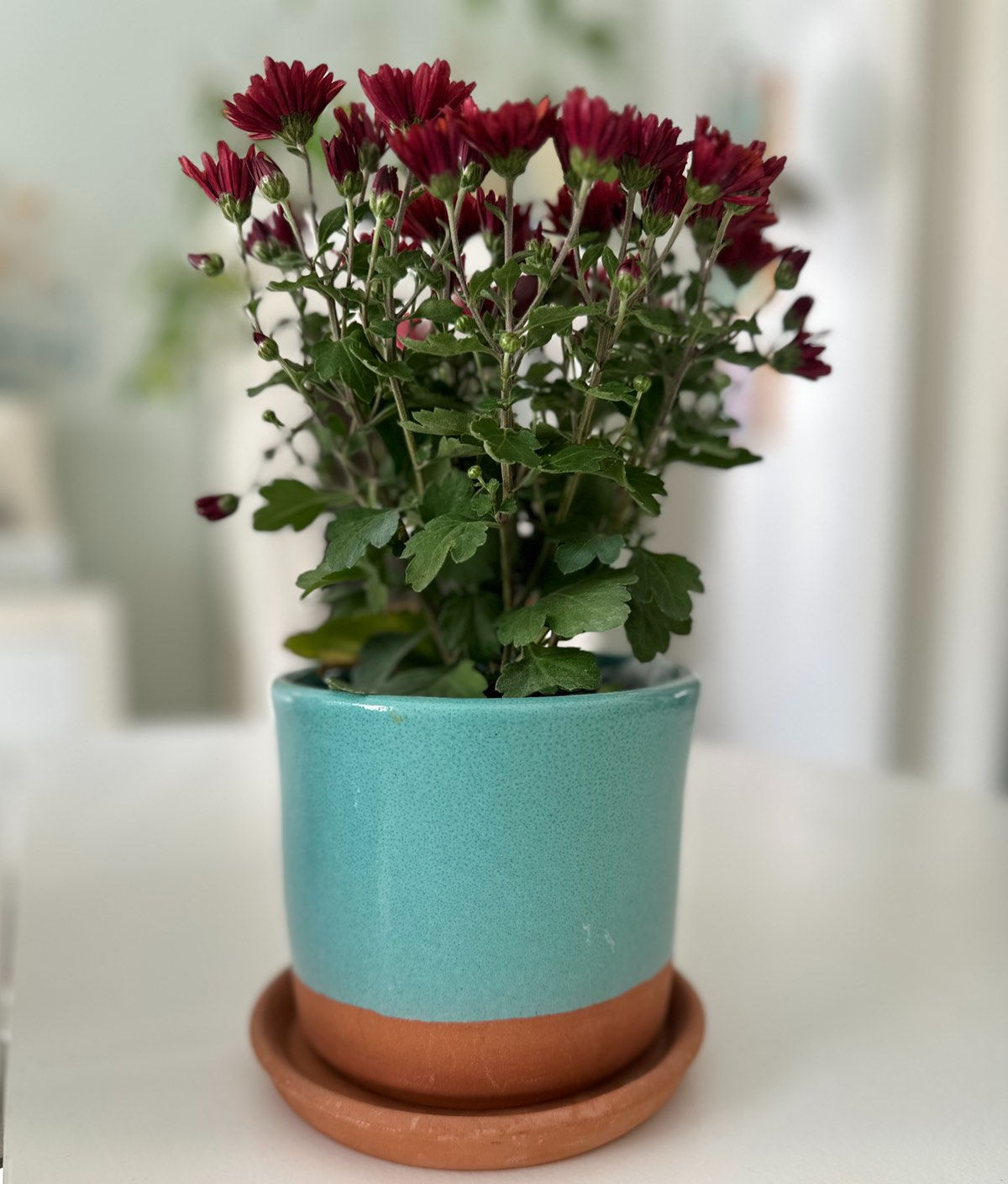 Υαλωμένο κεραμικό κασπώ/γλάστρα με πιάτο θαλασσί 13x12εκ