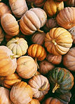 Pumpkins 