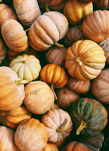 Autumn Harvest Pumpkins