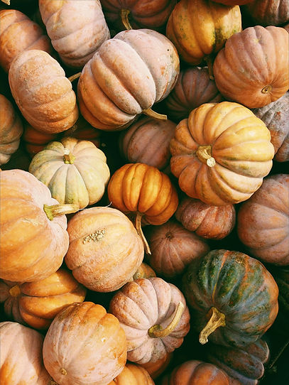 Kürbisernte im Herbst