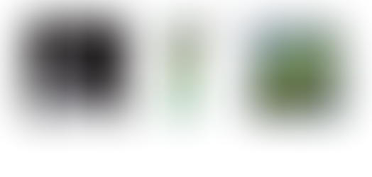 Exhibition: 郊游/野遊び/An Outing