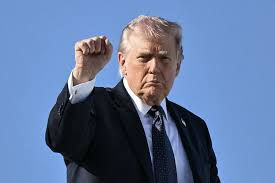 지금 사도 될까요?