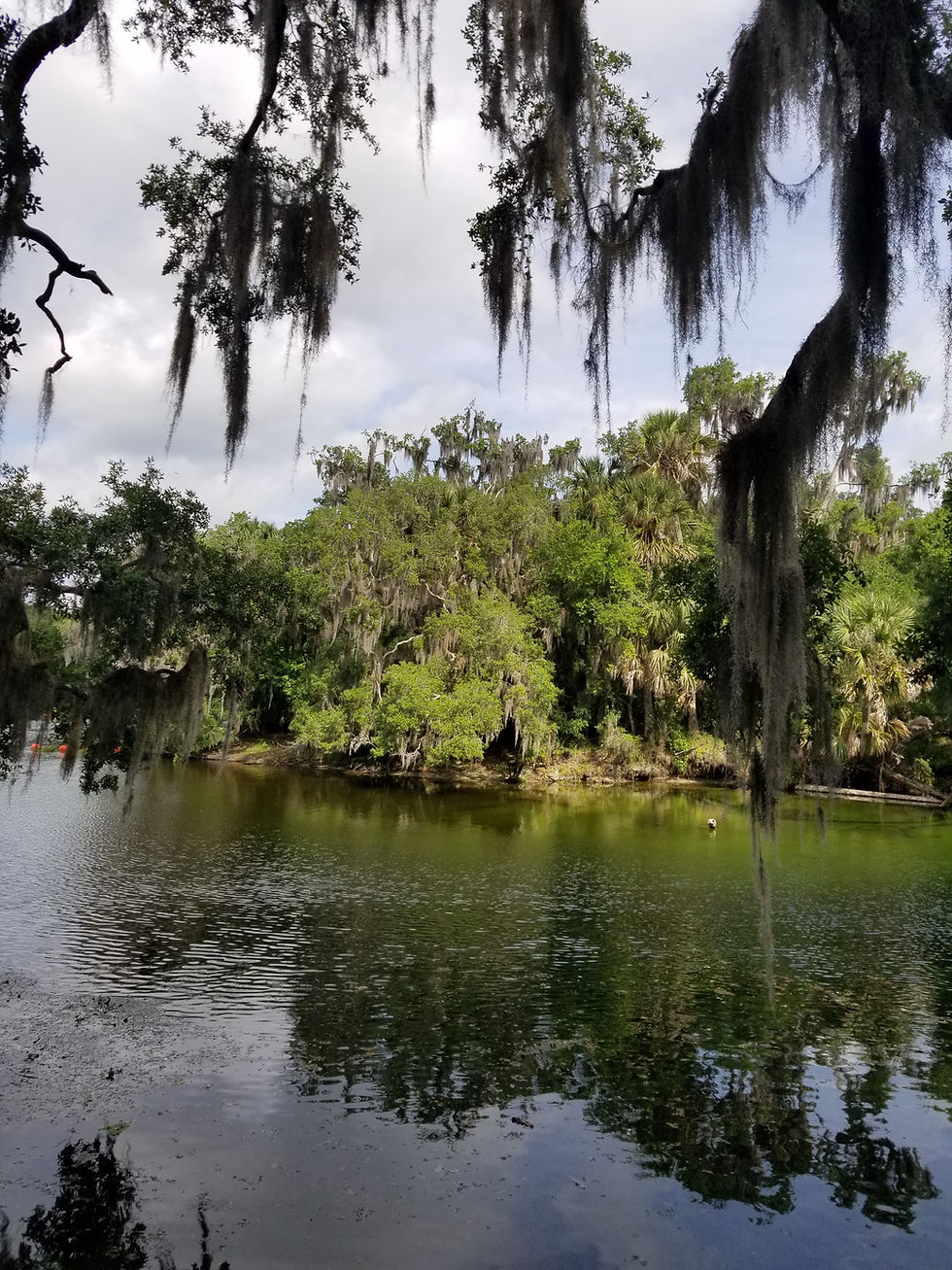 Florida, 오렌지 시티 블루 스프링 주립 공원
